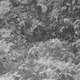 Image for article titled The Very Best Camera Trap Photography